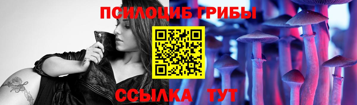 Псилоцибиновые грибы GOLDEN TEACHER  купить закладку  Тавда  Вход с VPN 