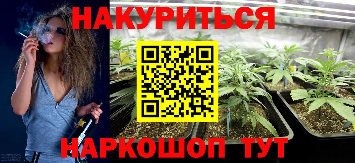 Тавда  Бошки Шишки сатива  Марихуана MAZAR  Вход с VPN  Каннабис планчик 